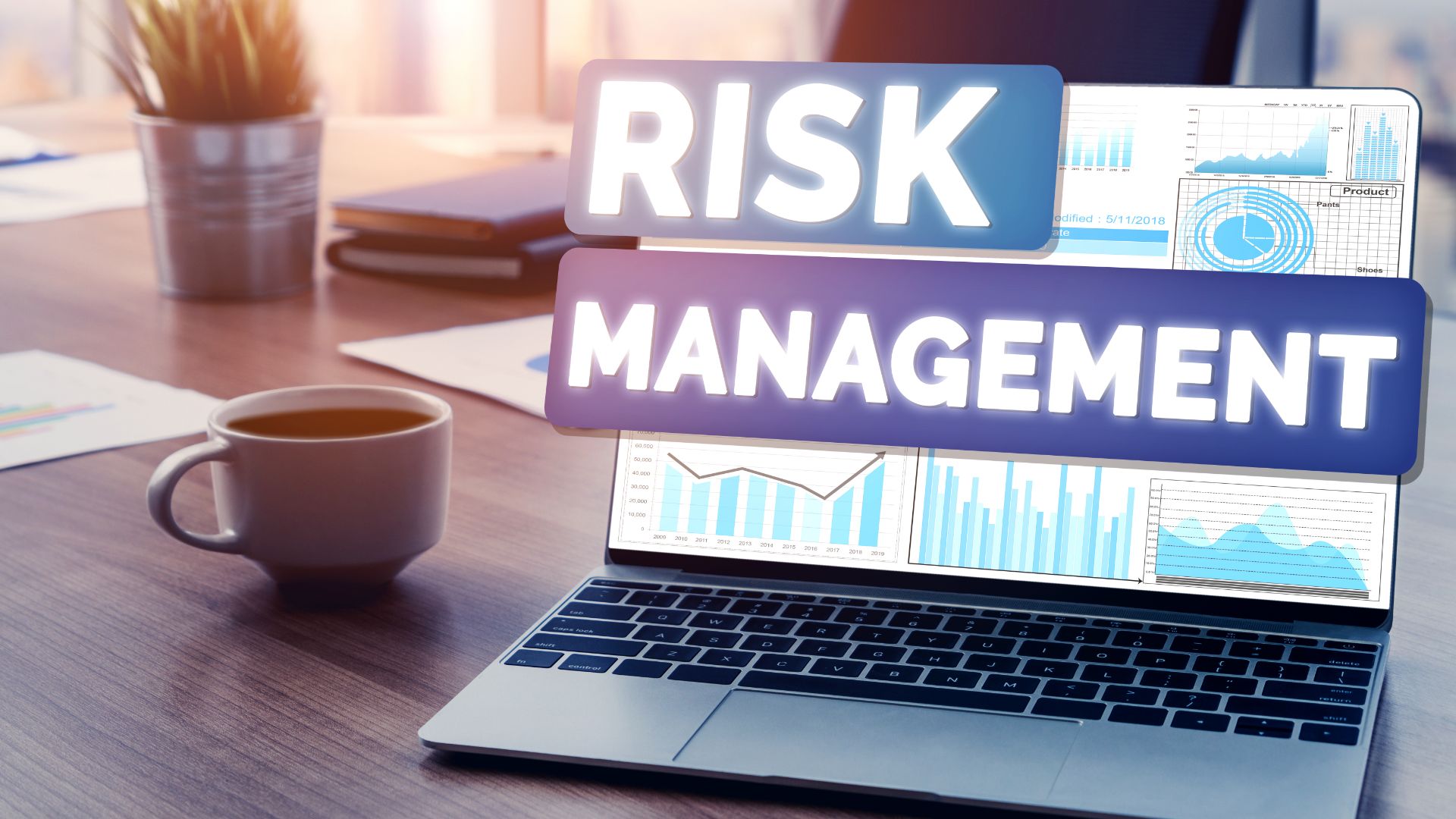 How a Fractional CFO Enhances Strategic Risk Management for Growing Businesses
